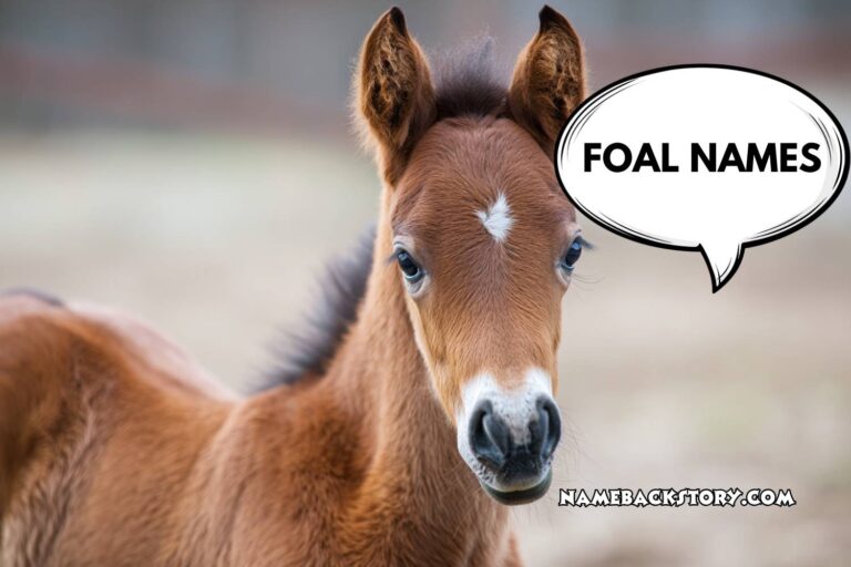 foal names