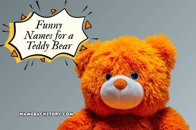funny names for a teddy bear