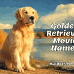 golden retriever movie names