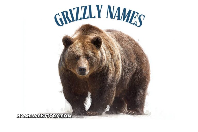 grizzly names