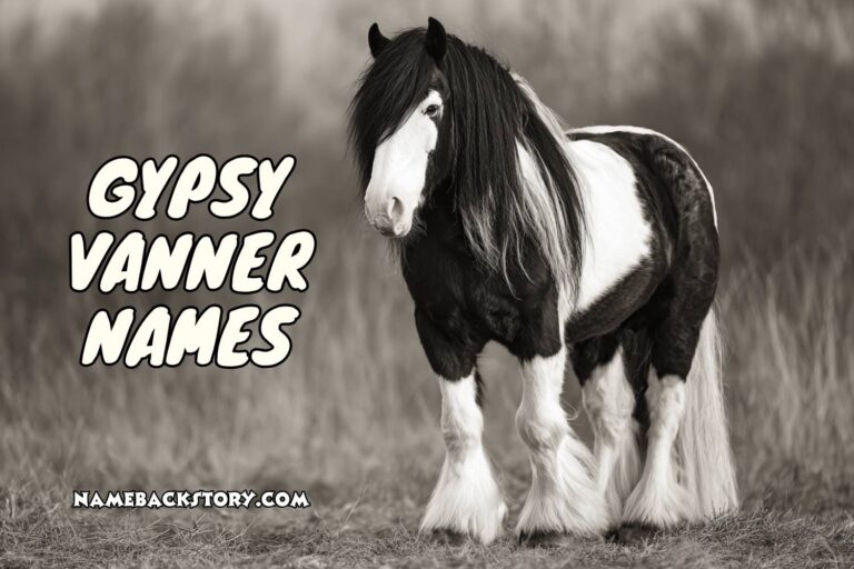 gypsy vanner names