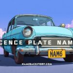 licence plate names