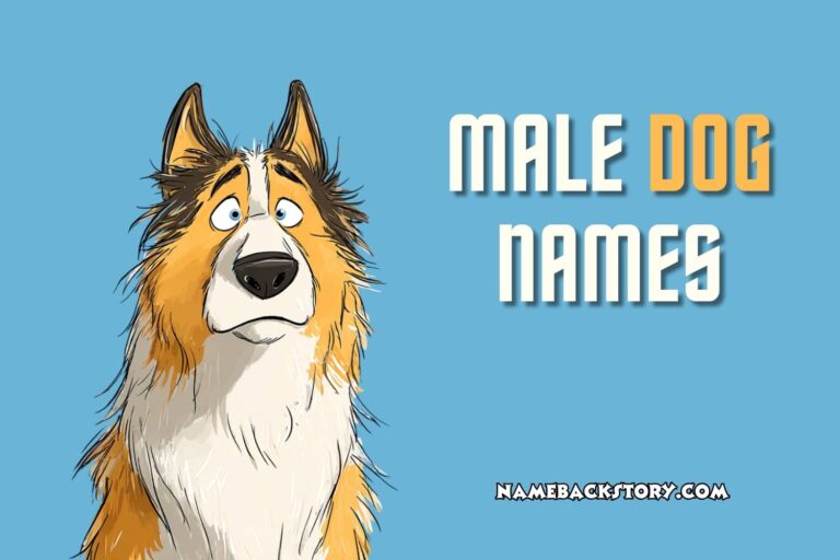 male dog names