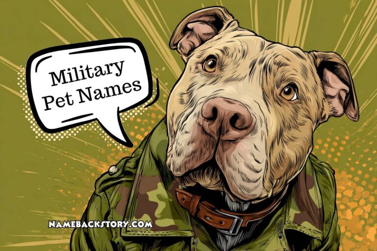 military pet names