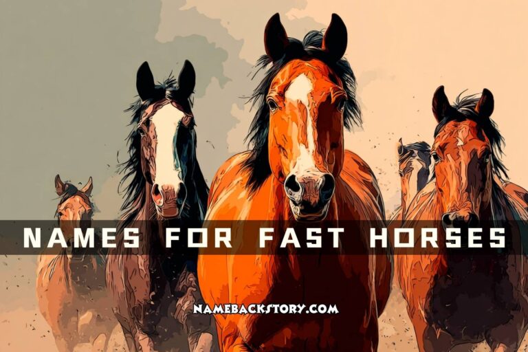 names for fast horses
