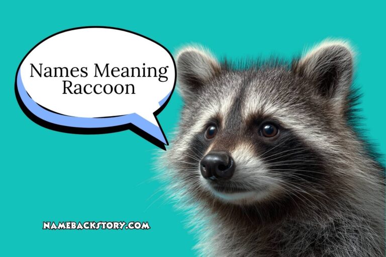 names meaning raccoon