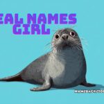 seal names girl